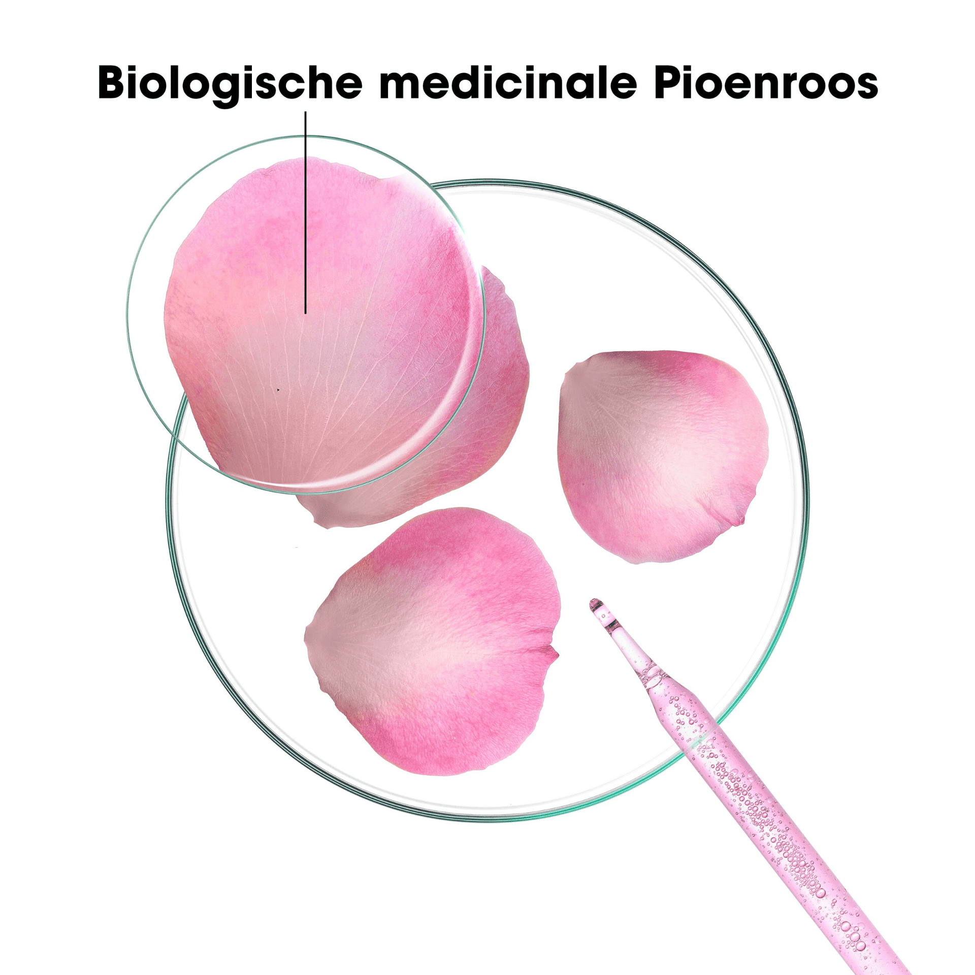 Klorane Pioenroos Kalmerende Conditioner Klorane Pioenroos Kalmerende Conditioner