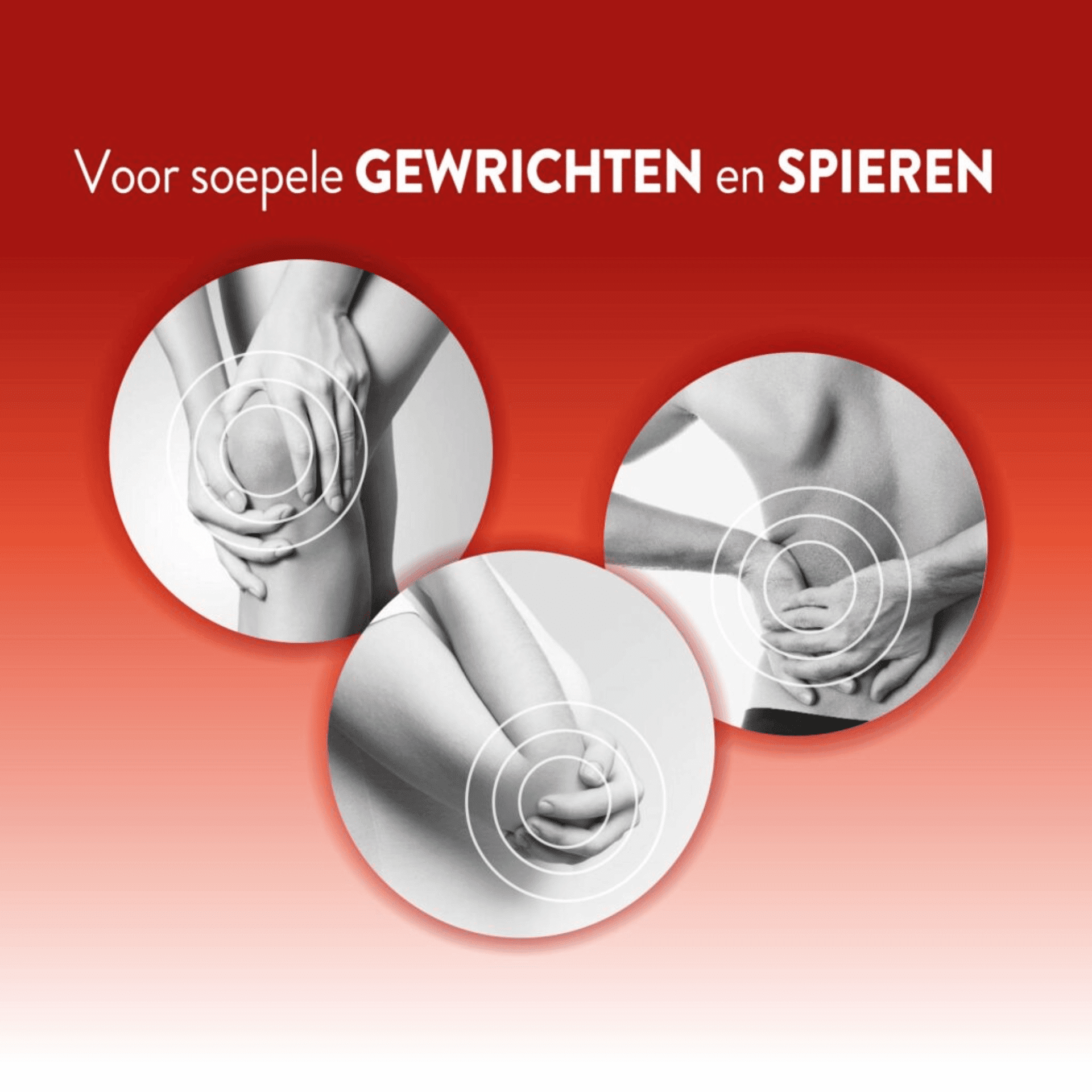 CurcuDyn Forte CurcuDyn Forte