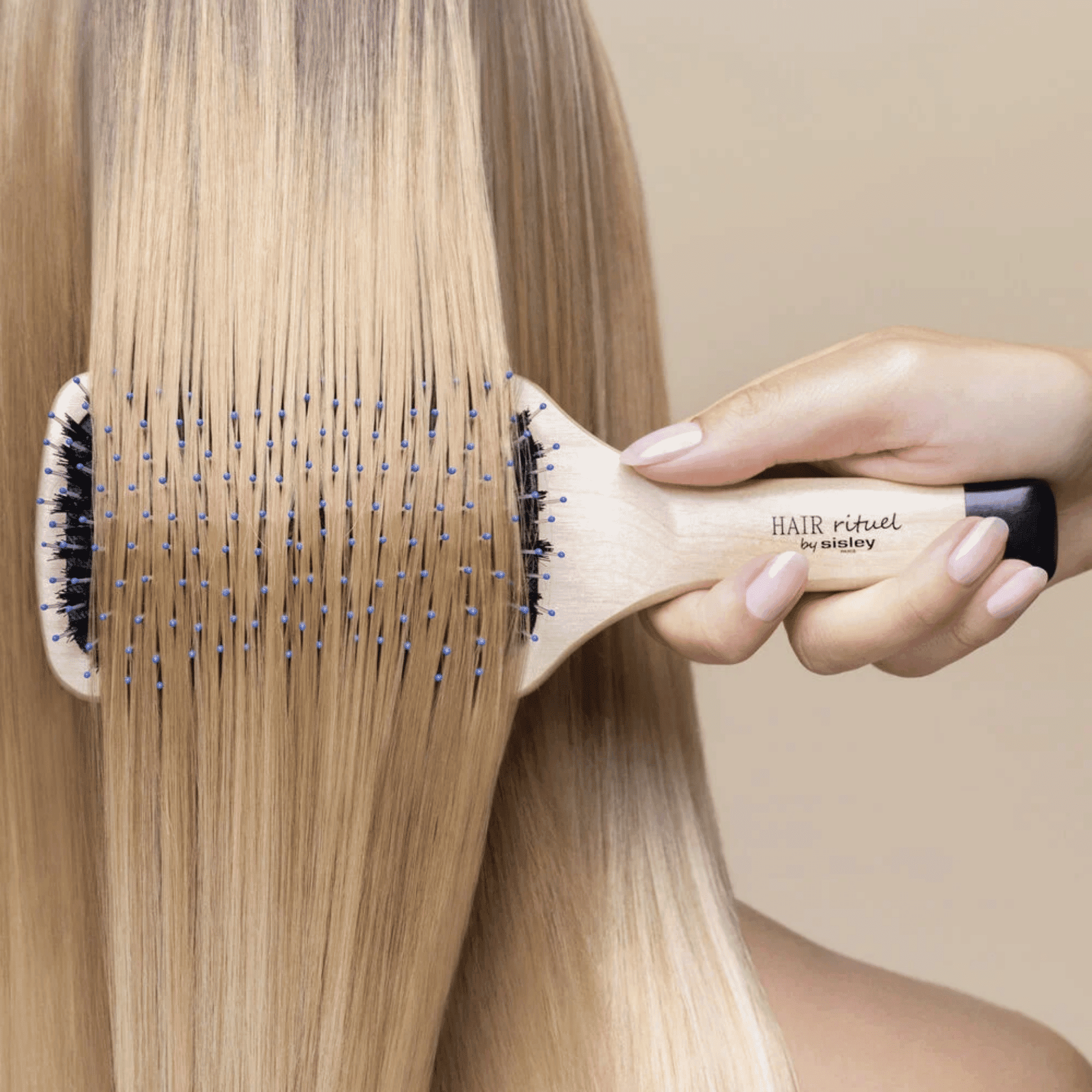 Sisley Hair La Brosse Brillance & Douceur