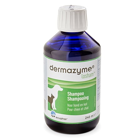 Dermazyme Losham Shampoo Dermazyme Losham Shampoo