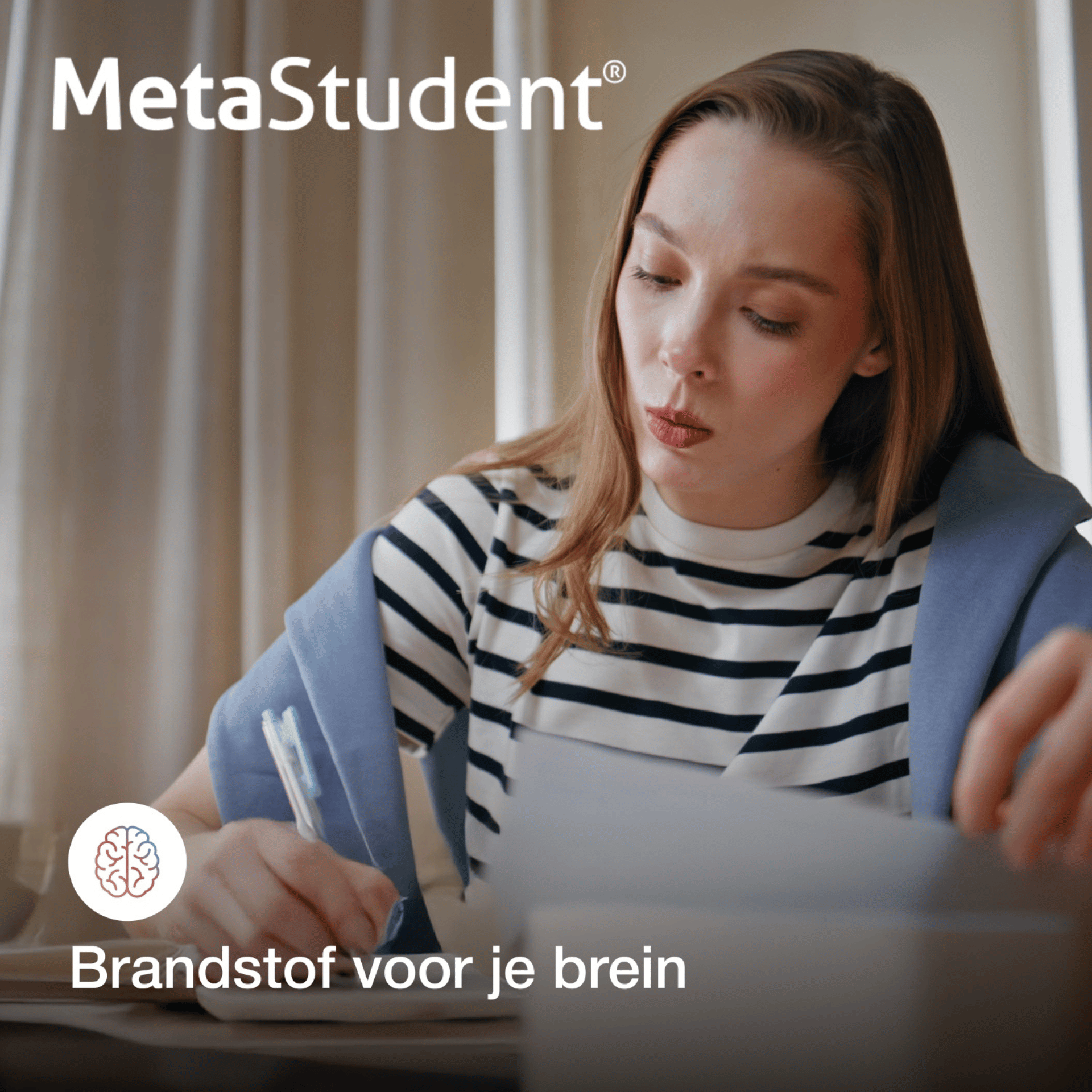 MetaStudent MetaStudent