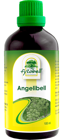 Fytobell Angelibell