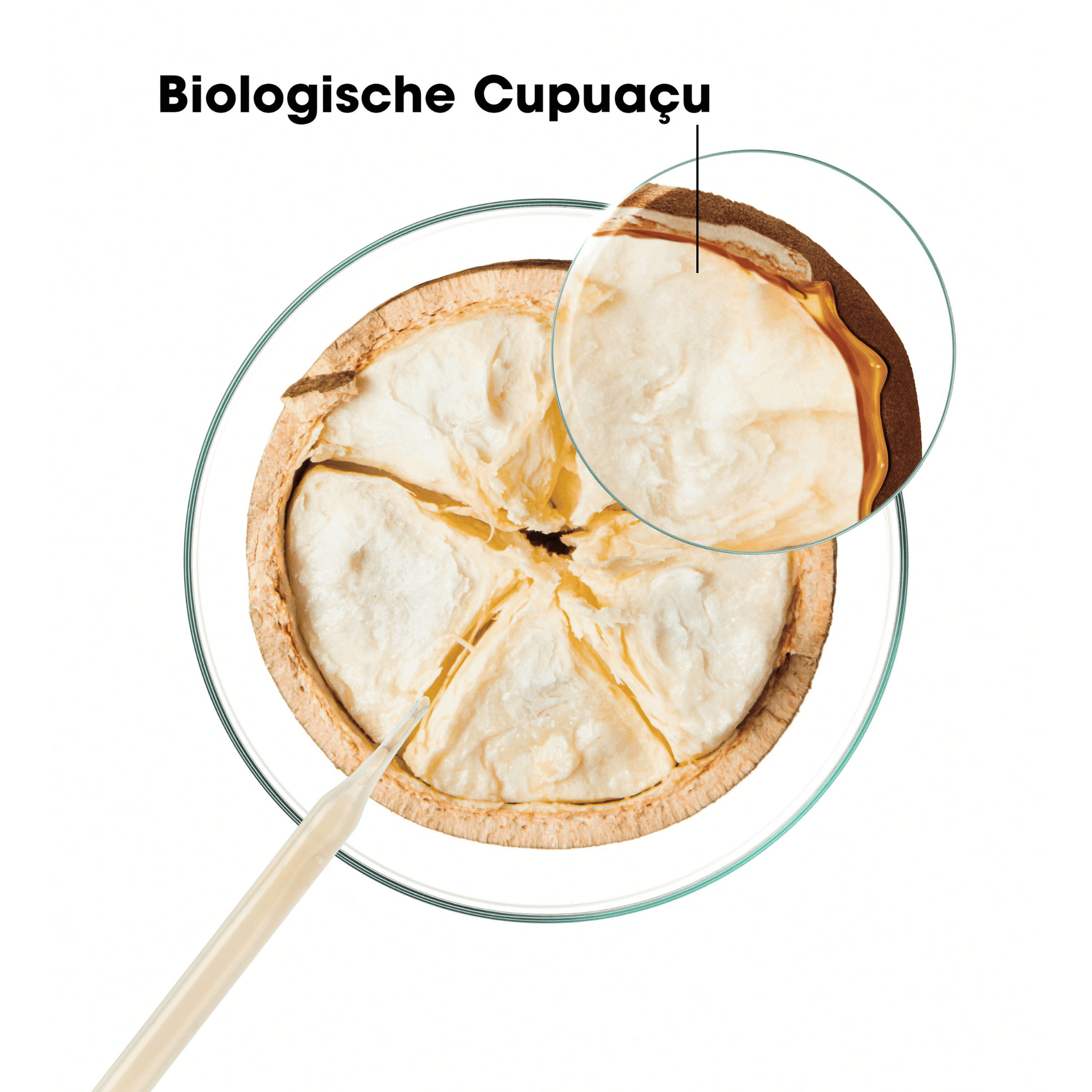 Klorane Cupuaçu Herstellende Shampoo