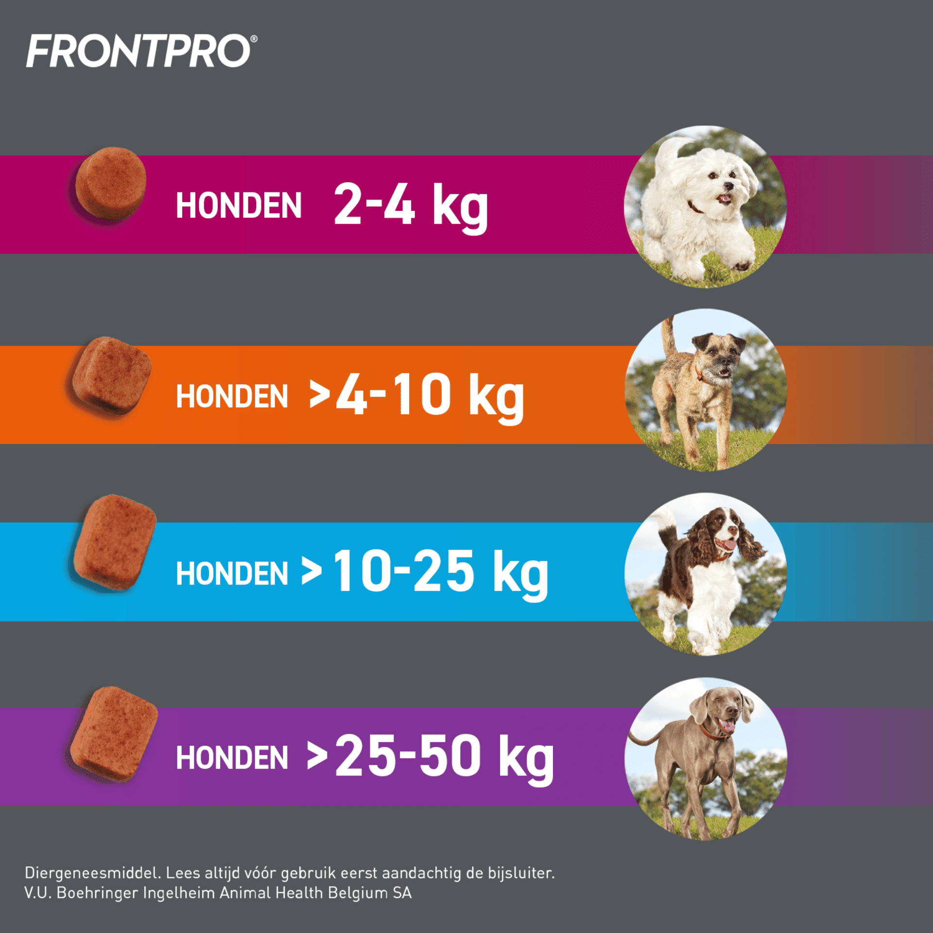 FrontPro Hond 2-4 kg