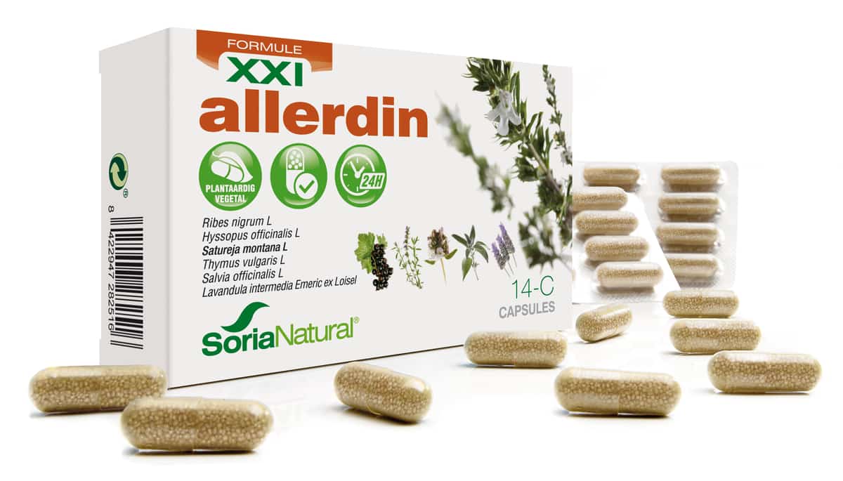 Soria 14-C Allerdin XXI Soria 14-C Allerdin XXI