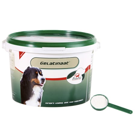 Primeval Honden Gelatinaat Primeval Honden Gelatinaat