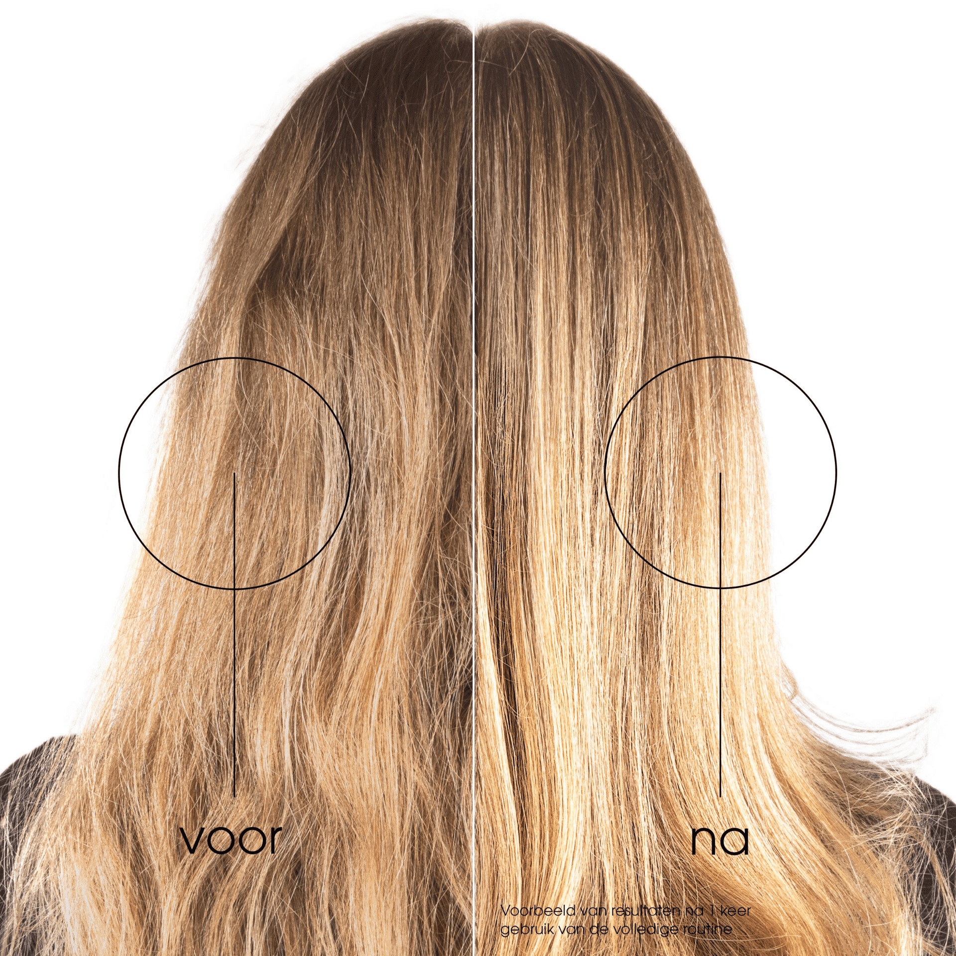 Klorane Cactusvijg Opvullend Masker Klorane Cactusvijg Opvullend Masker