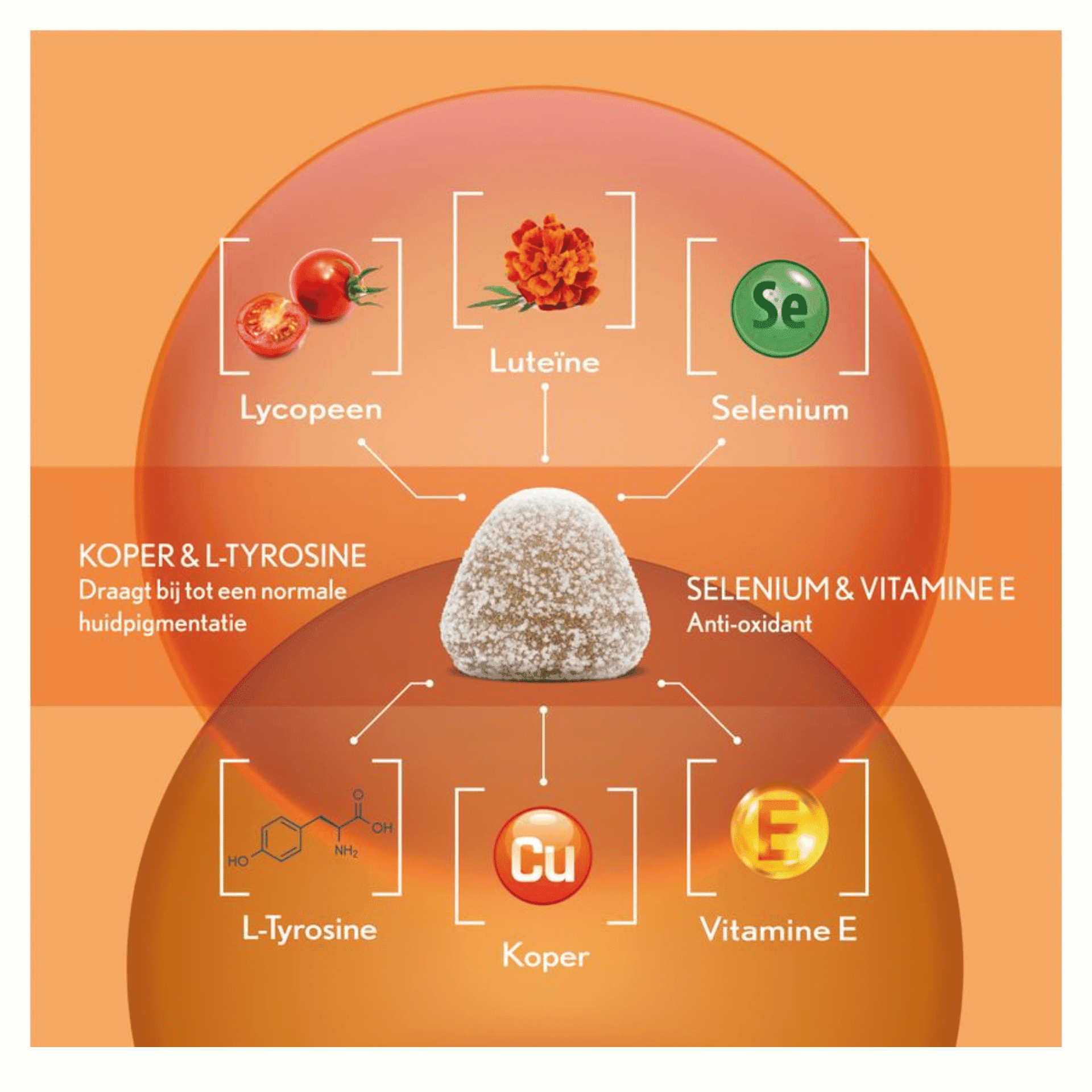 Oenobiol Gummies Sun Bronze