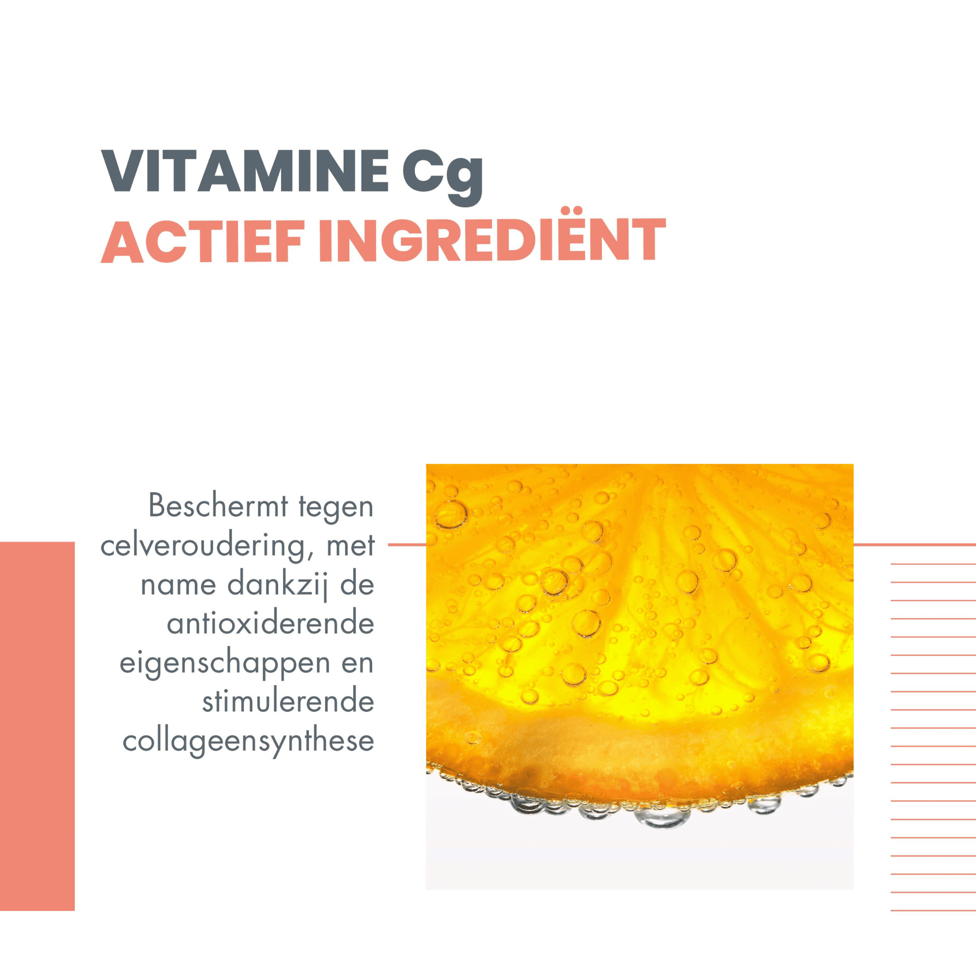 Avène Vitamin Activ Cg Intensieve Crème voor een Stralende Huid Avène Vitamin Activ Cg Intensieve Crème voor een Stralende Huid