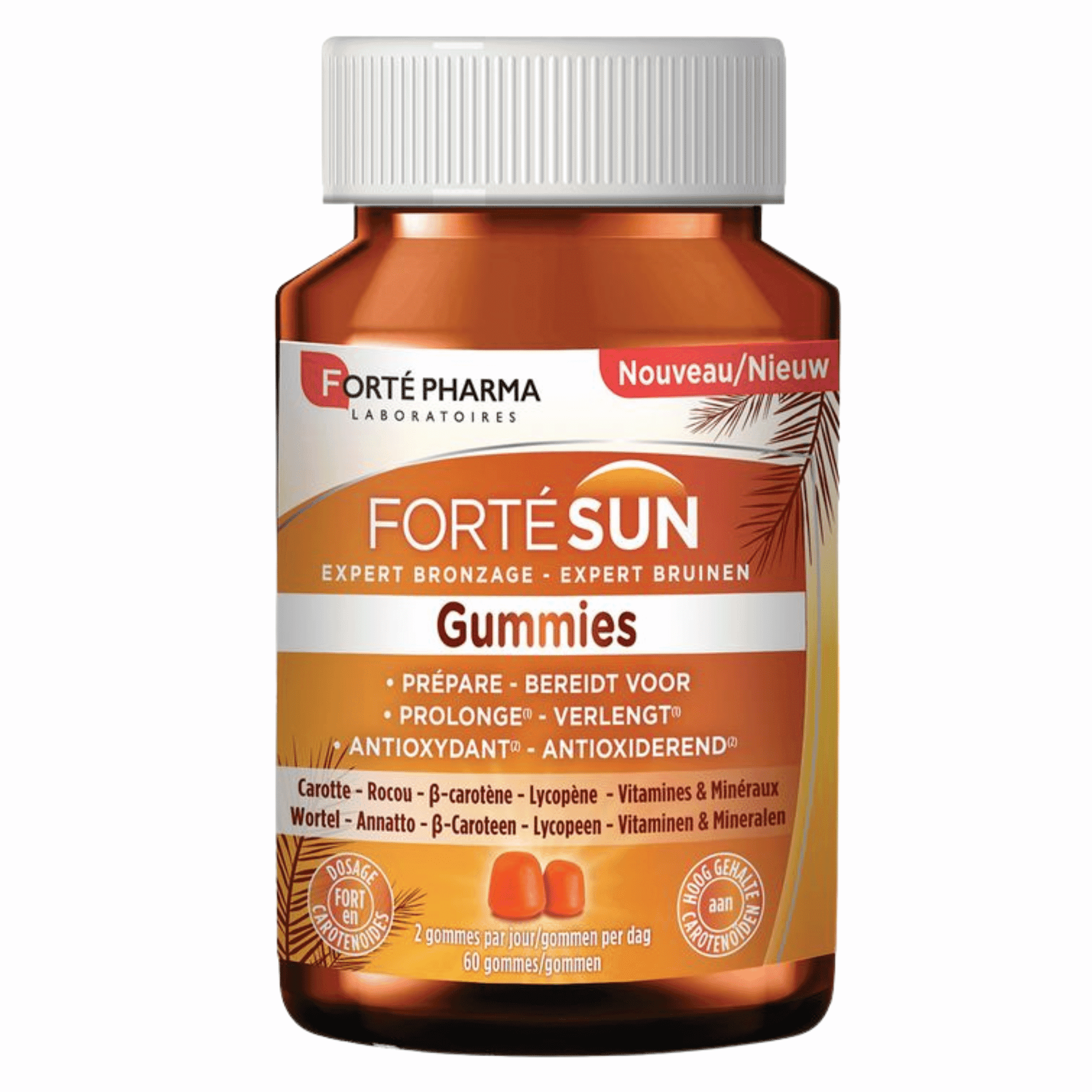 Fortésun Expert Bruinen Fortésun Expert Bruinen