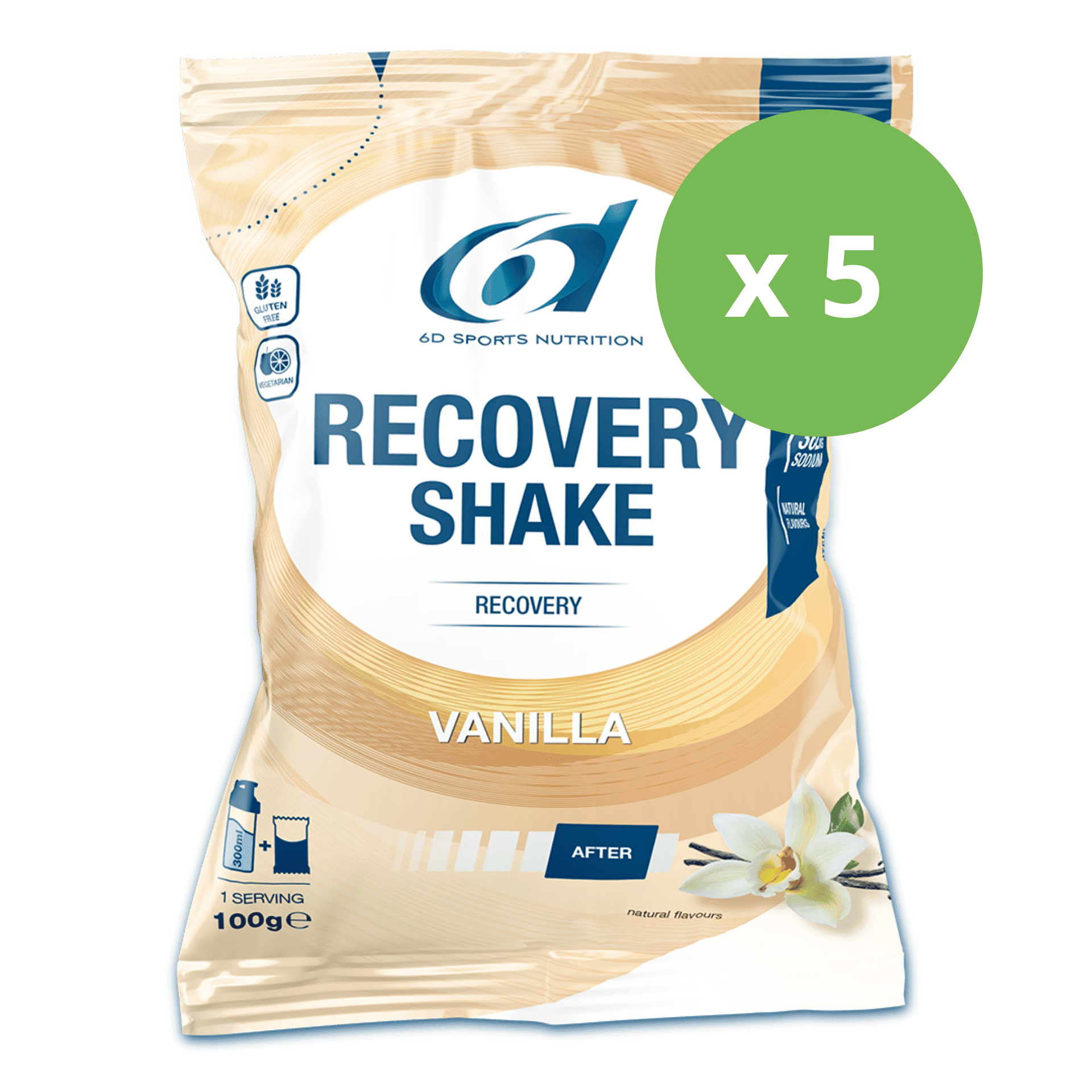 6d Recovery Shake Chocolate 5x100g