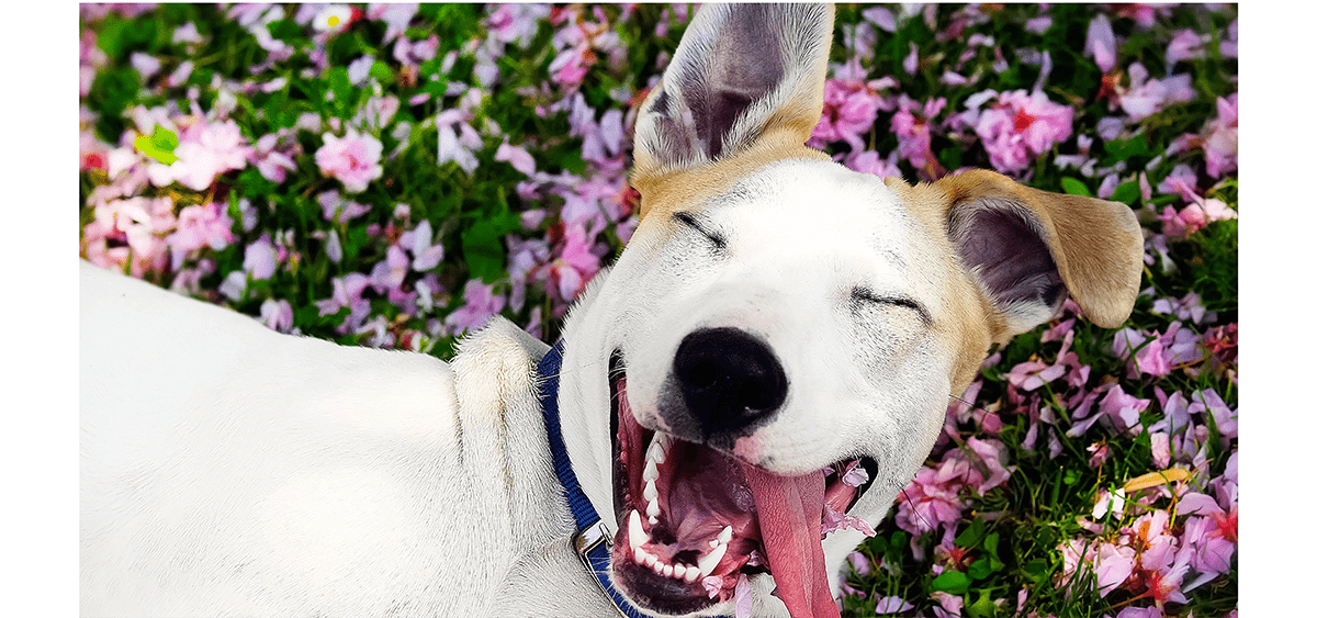 Last van een corona-dipje of een winterdipje? Last van een corona-dipje of een winterdipje?