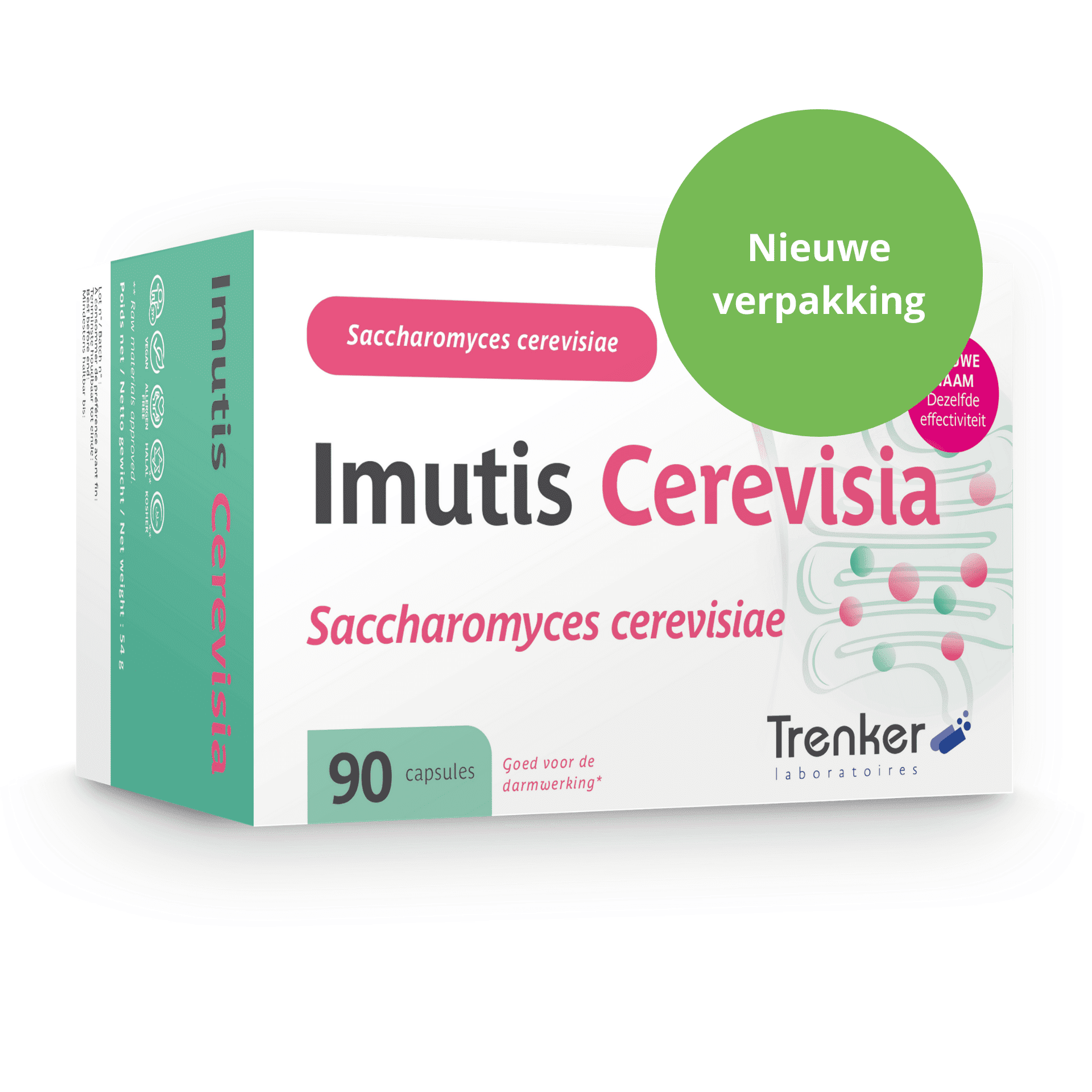 Cerevisia