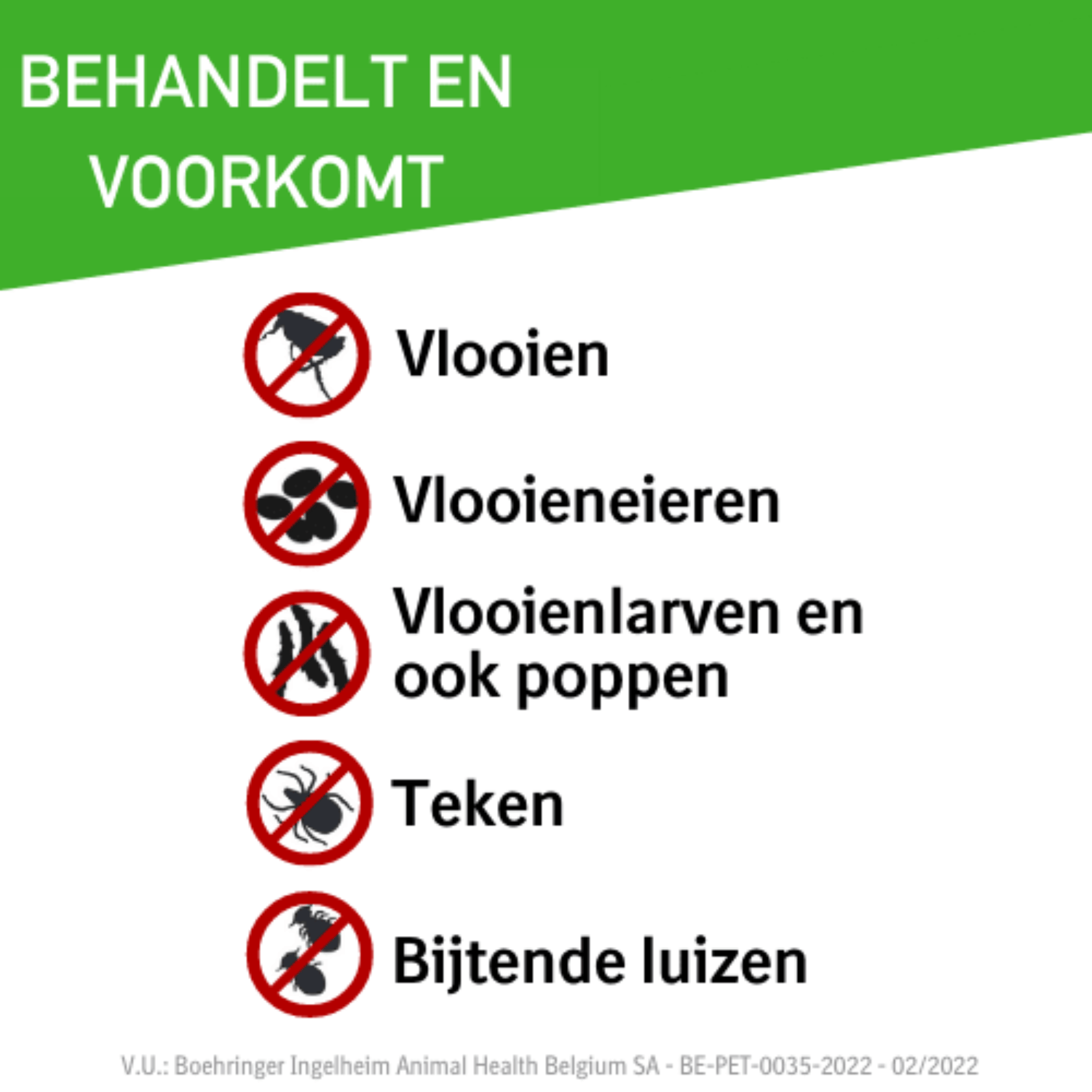 Frontline ComboLine Chat/Furet