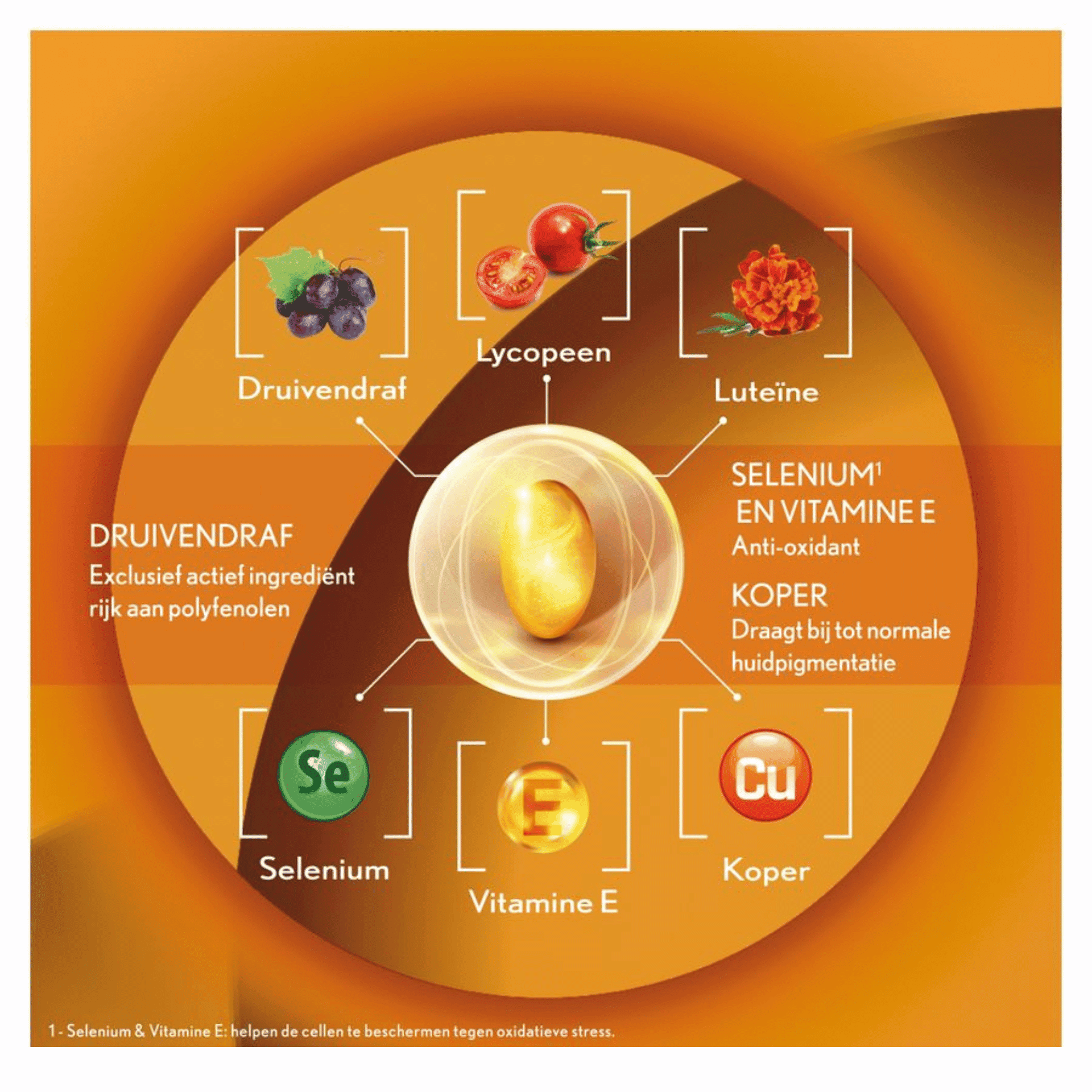 Oenobiol Sun Expert Oenobiol Sun Expert