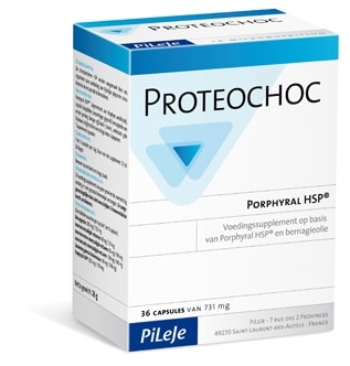 Pileje Proteochoc Pileje Proteochoc