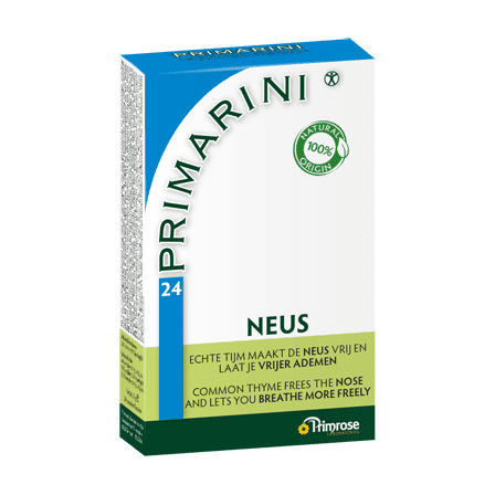 Primrose Primarini Primrose Primarini