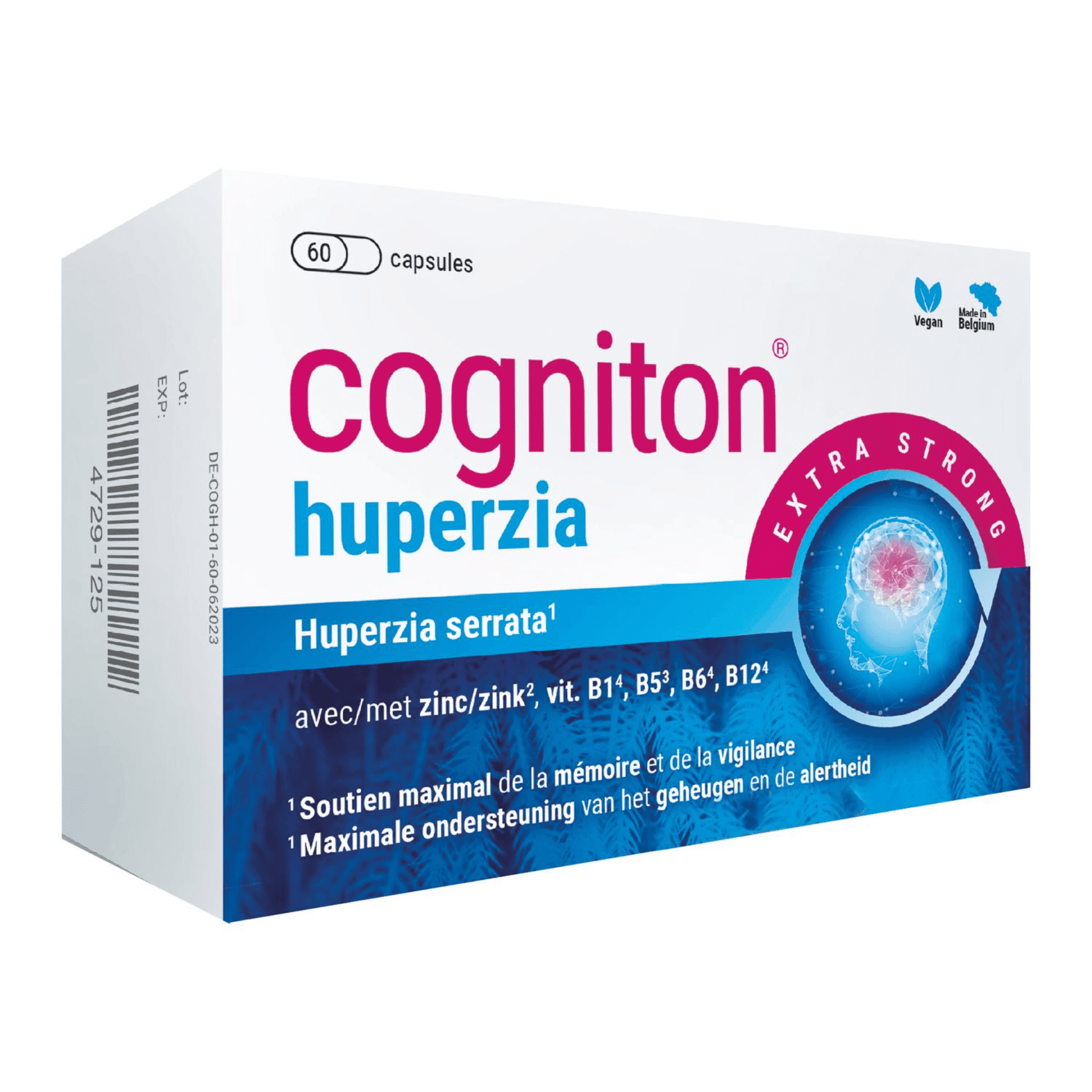 Cogniton Huperzia Cogniton Huperzia