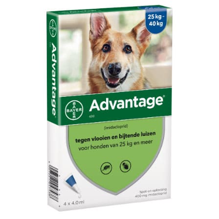 Advantage 400 Hond 25-40 kg Advantage 400 Hond 25-40 kg