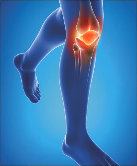 Epitact Physiostrap Kniebescherming Junior Maat 2 Epitact Physiostrap Kniebescherming Junior Maat 2