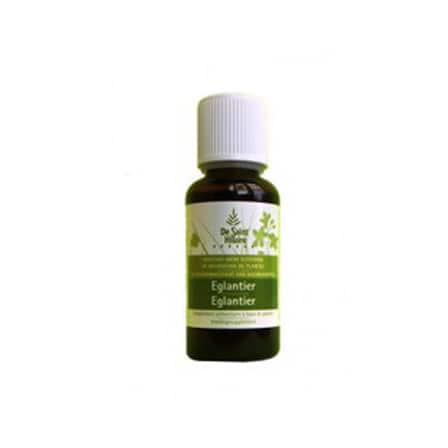 Bioholistic Egelantier Bioholistic Egelantier