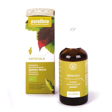 Purasana Puragem Articula Purasana Puragem Articula