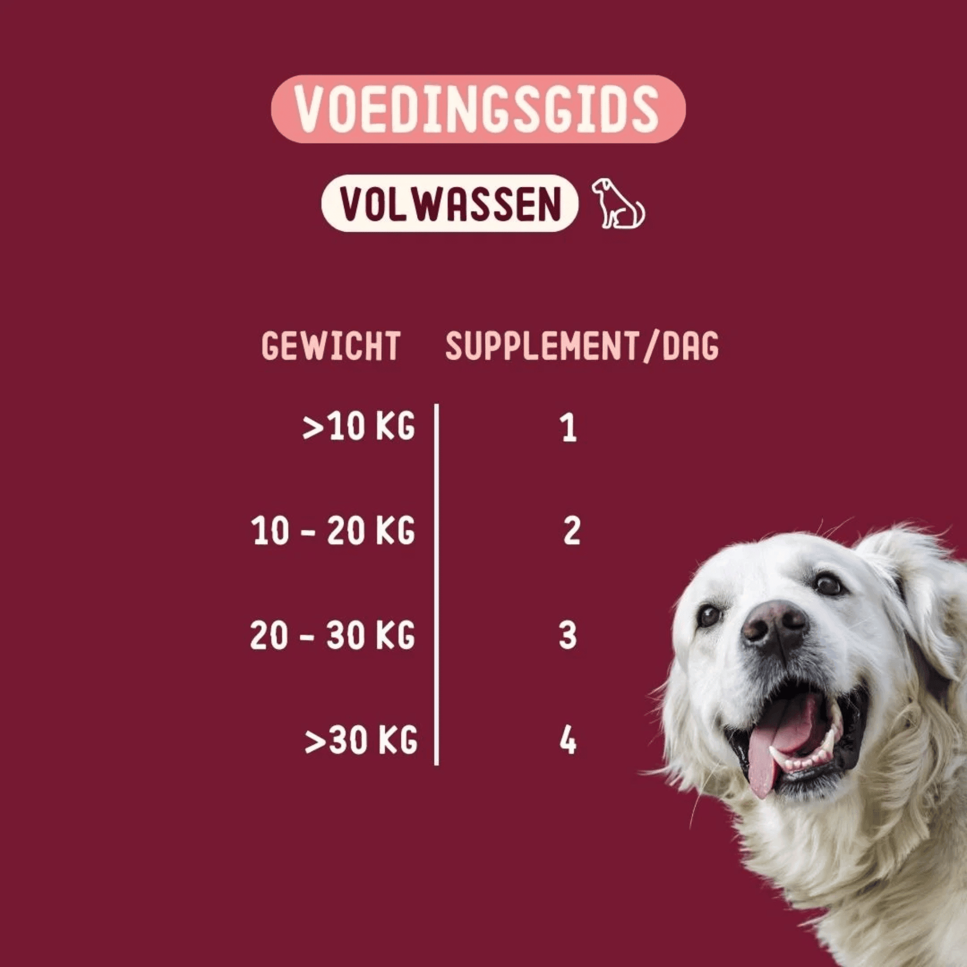 Imby Skin Health Supplement for Dogs Imby Skin Health Supplement for Dogs