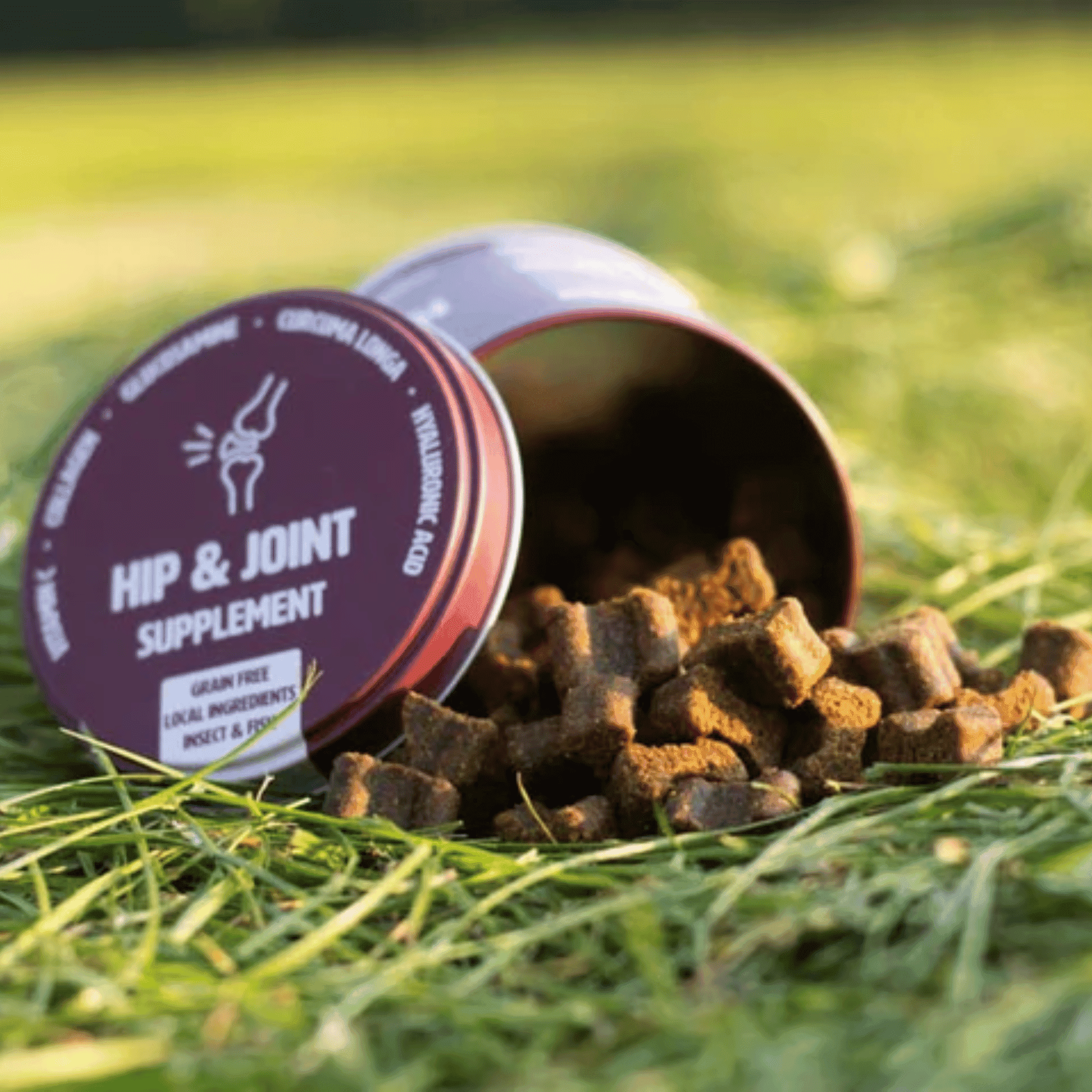 Gutsy Hip & Joint Supplement Chews 80