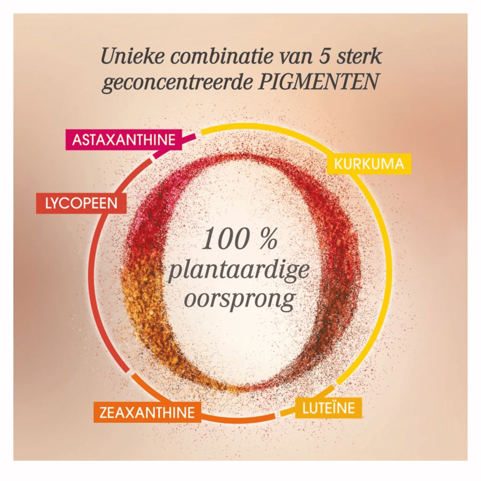 Oenobiol Perfect Bronze Intense