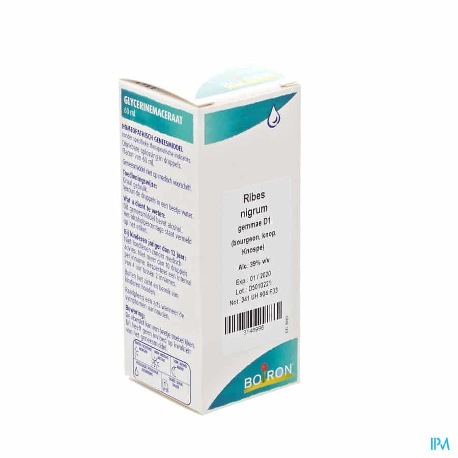Boiron Ribes Nigrum Gemmo D1 Boiron Ribes Nigrum Gemmo D1