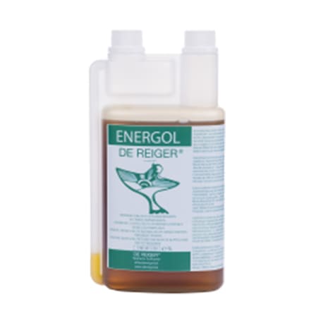 De Reiger Energol De Reiger Energol