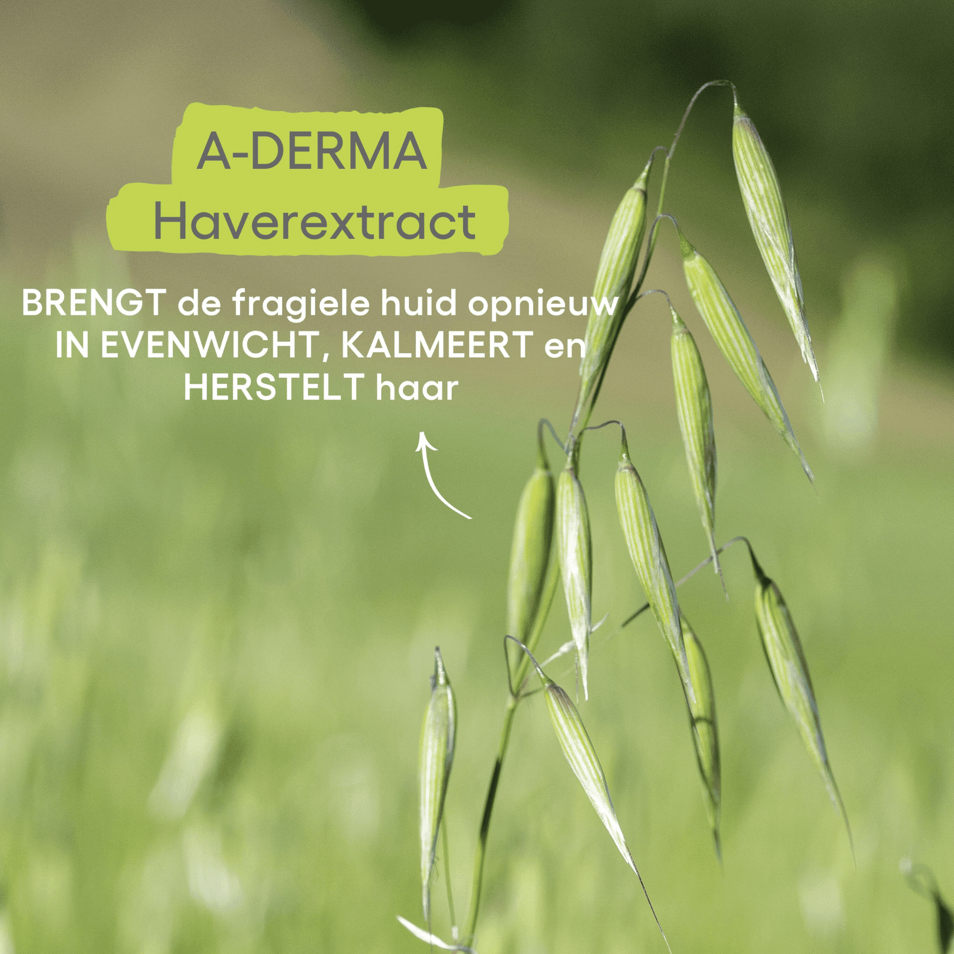 A-Derma Exomega Control Emolliërende Wasolie A-Derma Exomega Control Emolliërende Wasolie