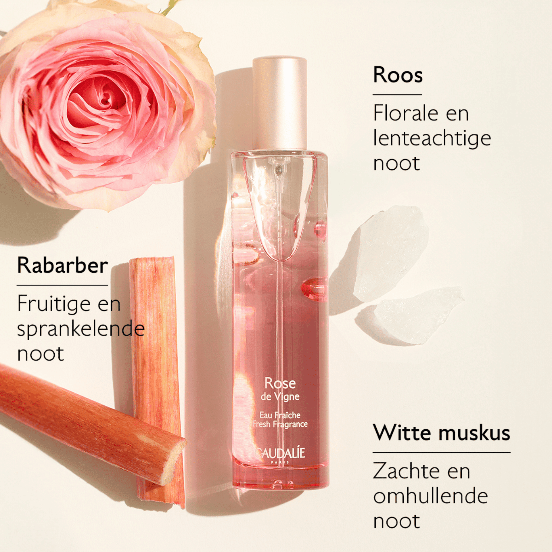 Caudalie Rose de Vigne Eau Fraîche + Douchegel Geschenkset