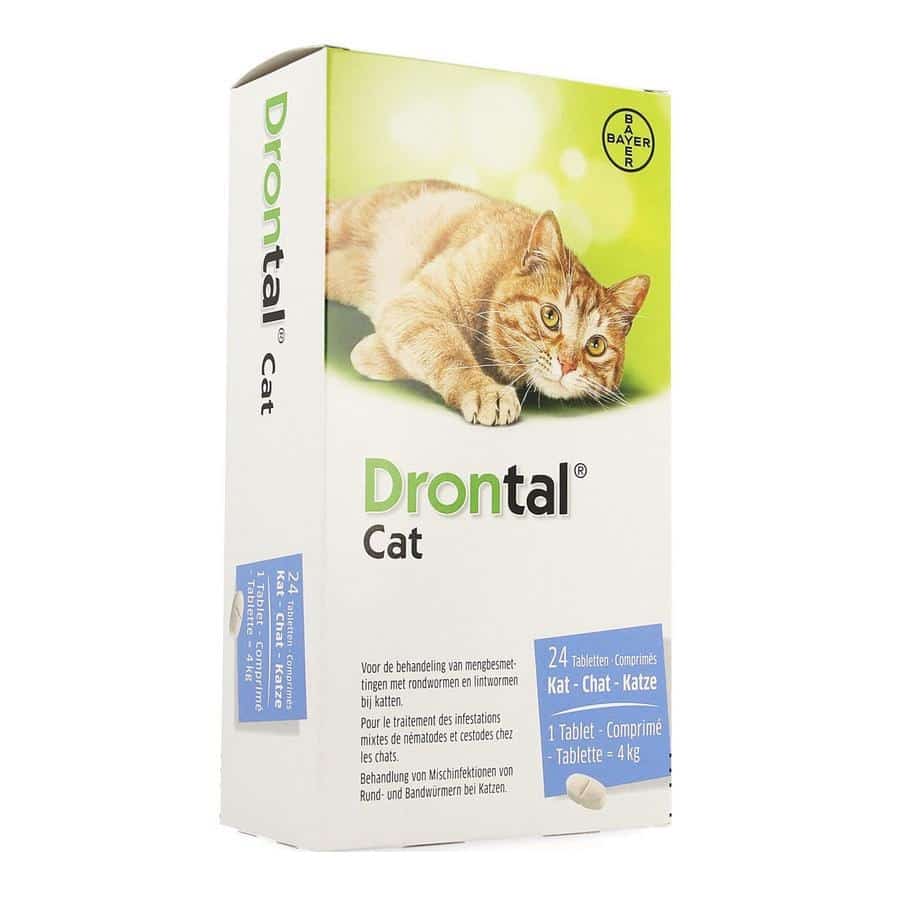 Drontal Cat Drontal Cat