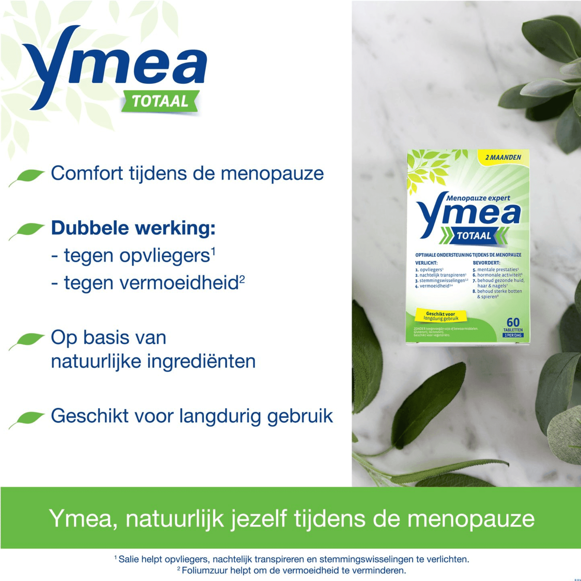 Ymea Totaal Ymea Totaal