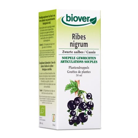Biover Ribes Nigrum
