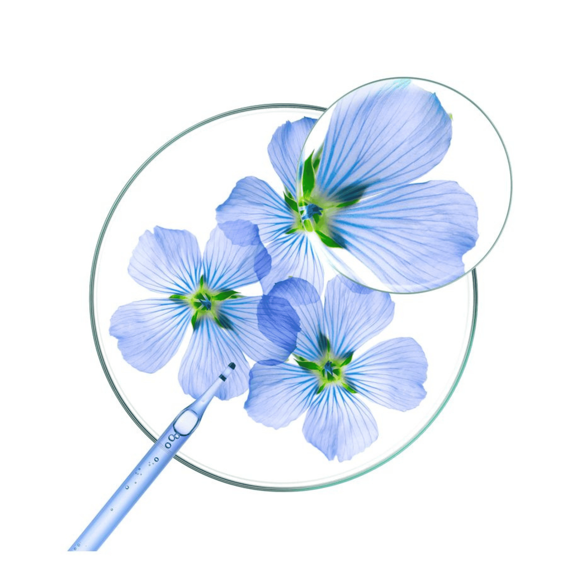 Klorane Volume Texturiserende Droogshampoo Klorane Volume Texturiserende Droogshampoo