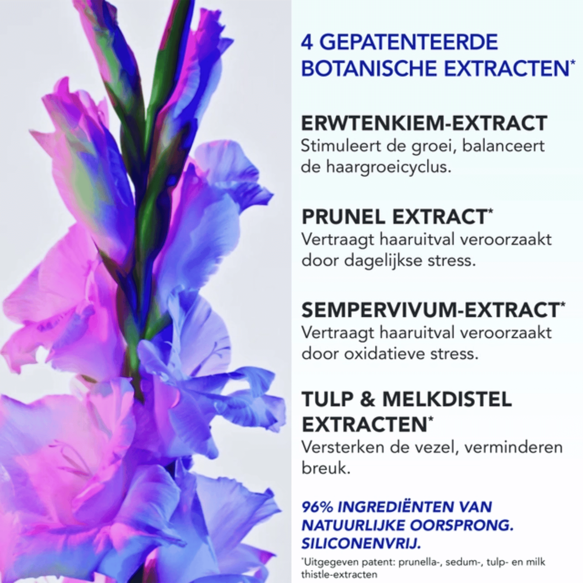 Phytophanère Behandeling tegen Reactieve Haaruitval Phytophanère Behandeling tegen Reactieve Haaruitval