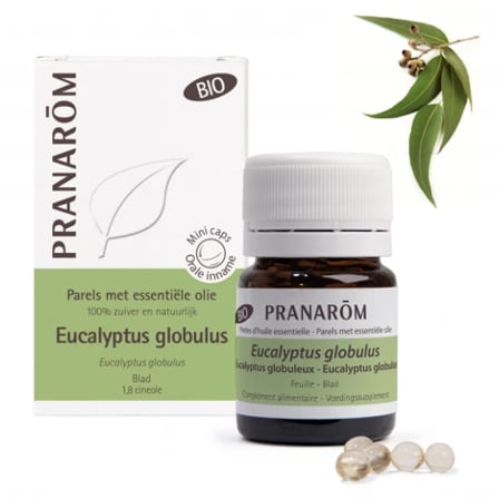 Pranarom Aromaparels Eucalyptus Globulus Bio