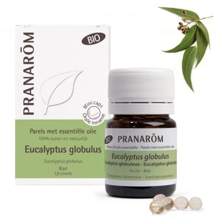 Pranarom Aromaparels Eucalyptus Globulus Bio Pranarom Aromaparels Eucalyptus Globulus Bio