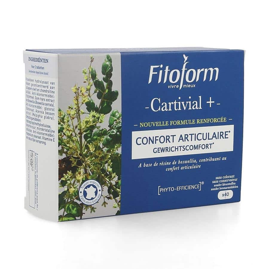 Bioholistic Fitoform Cartivial+ Gewrichtscomfort