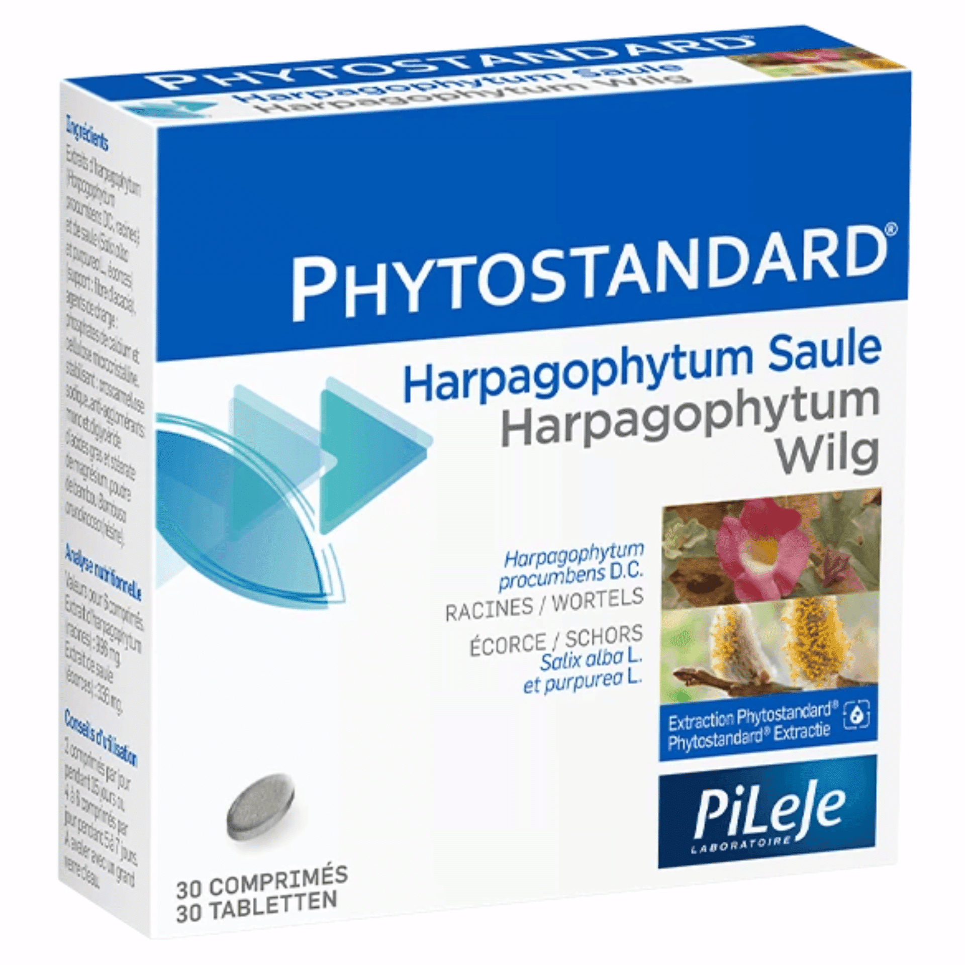 Pileje Phytostandard Hapagophytum-Wilg
