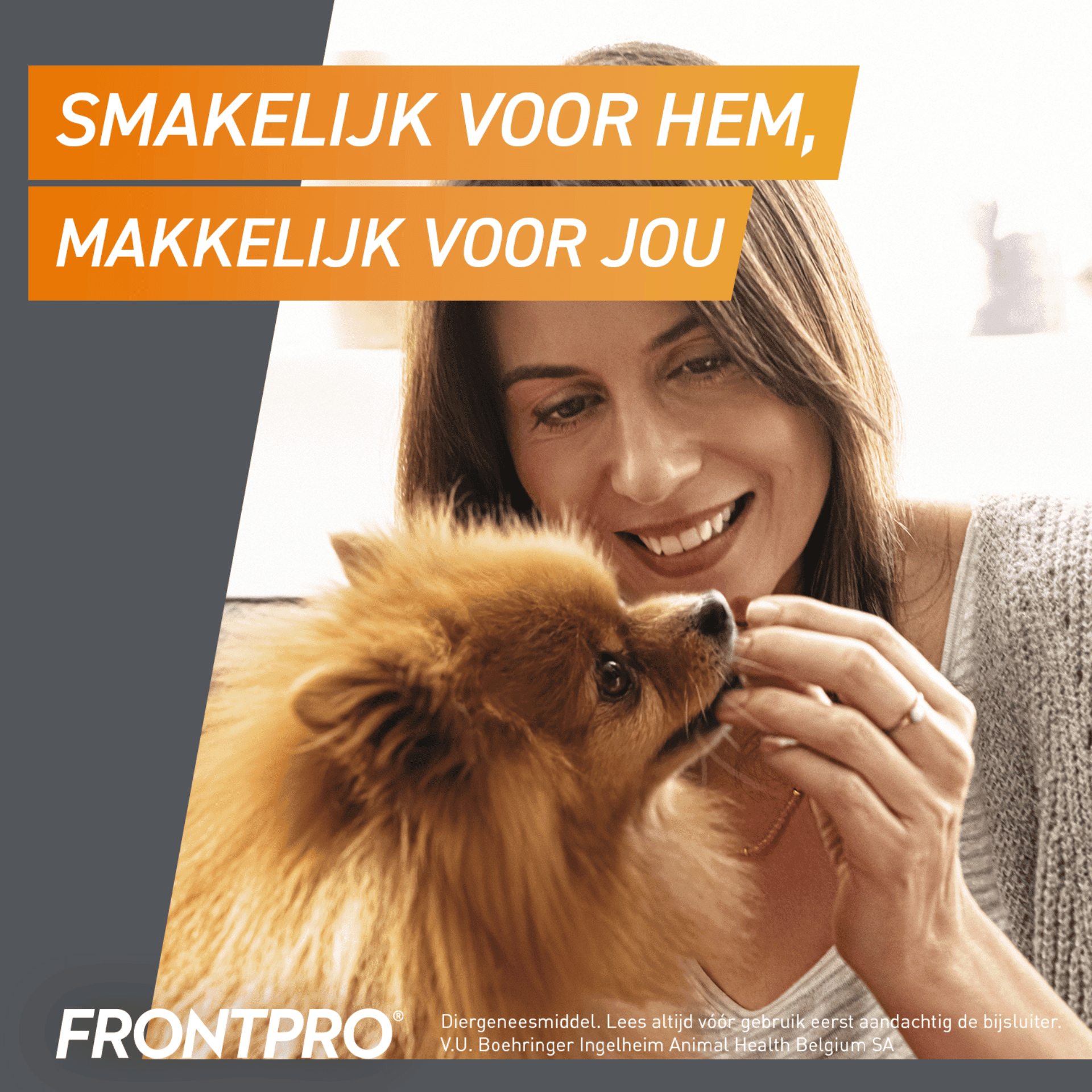 FrontPro Hond 2-4 kg